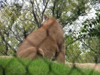 20100206 522.JPG